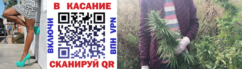 Все наркотики Ладушкин Псилоцибиновые грибы  Alpha PVP  Канабис  КОКАИН 